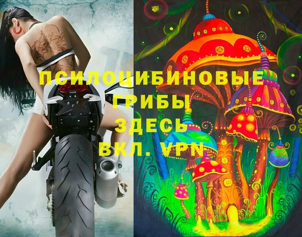 ешки Саяногорск