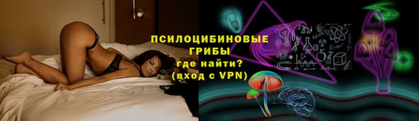 хмурый Горняк