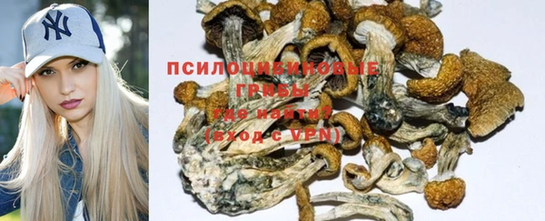 хмурый Горняк