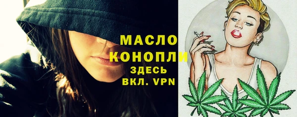 хмурый Горняк