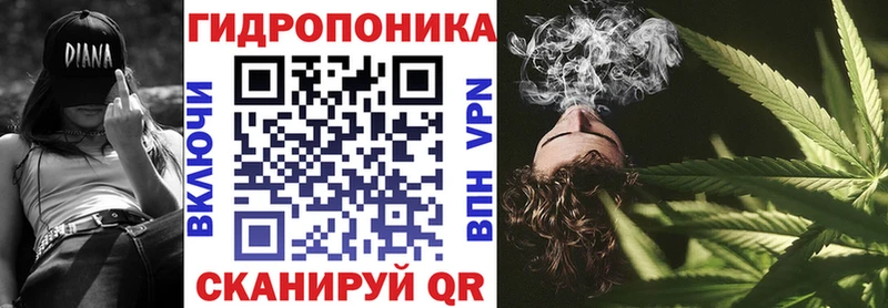 Купить Багратионовск Канабис семена